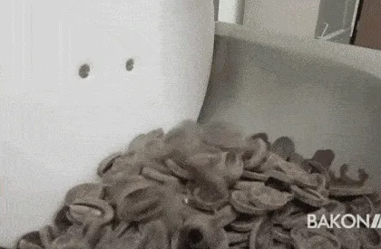Fundidora y temperadora de chocolate compacta